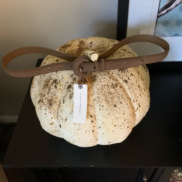 NWT ANTHROPOLOGIE SUEDE BELT, M - Picture 2 of 4